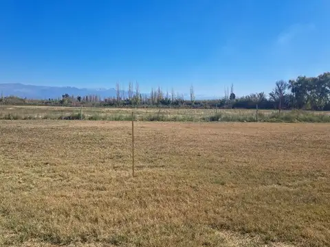 Terreno en Venta de 1000,0 m2