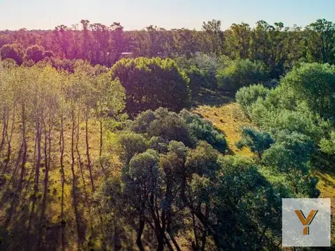 Terreno en Venta en Alejandro Korn, USD 180.000