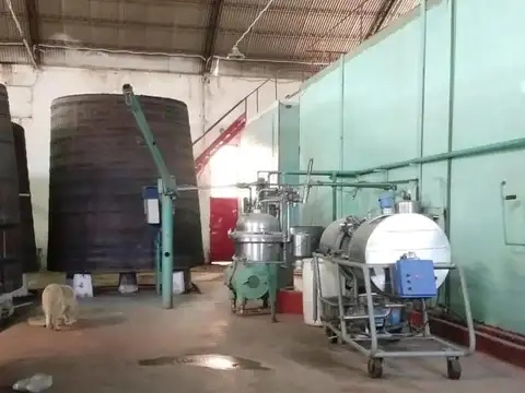 BodegaGeneral Roca 5 ha con Frente a Ruta 22