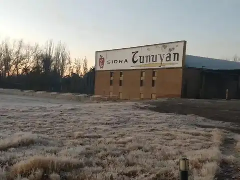 BodegaGeneral Roca 5 ha con Frente a Ruta 22