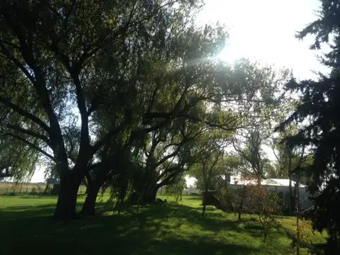 Las Flores, a 7 km de Ruta 3 y 11 km de Ciudad