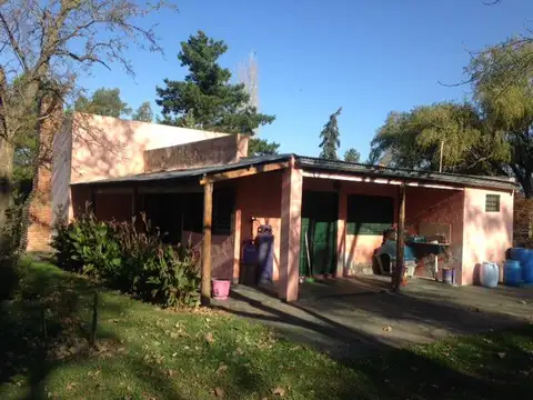 Campo - Las Flores