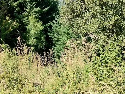 Lote  en Venta en Las Nalcas, San Martin de los Andes, Patagonia