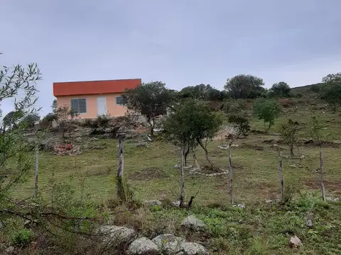 lote 4 flor serrana tanti 100