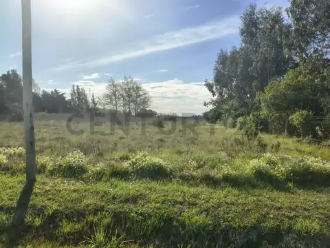 Terreno en Venta 47  mts Fondo