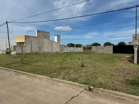 Abdala 2578