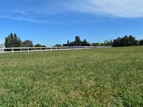 Terreno en Venta 40  mts Fondo