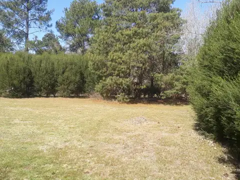 Terreno en Venta 40  mts Fondo