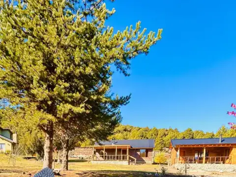 Cabañas a estrenar - Meliquina