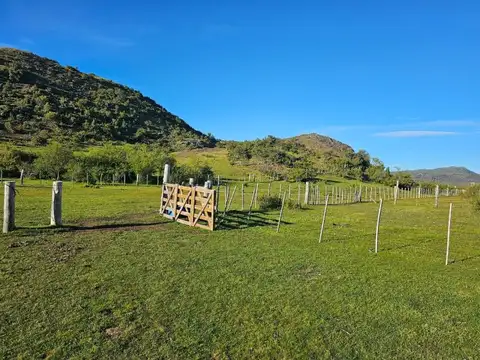 Terreno en Venta 200  mts Fondo