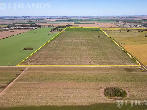 90 ha agrícolas sobre ruta. Pavón, Dto. Constitución, Santa Fe.