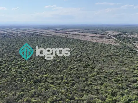 Campo en venta de 380 ha ubicado en Joaquín V. González, Anta, Salta