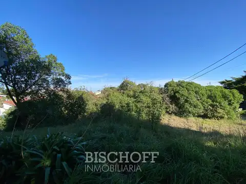 moreno entre Alberdi y almirante Brown