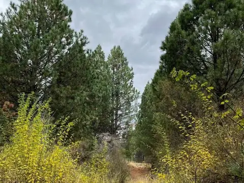 Terreno en Venta de 2,0 m2