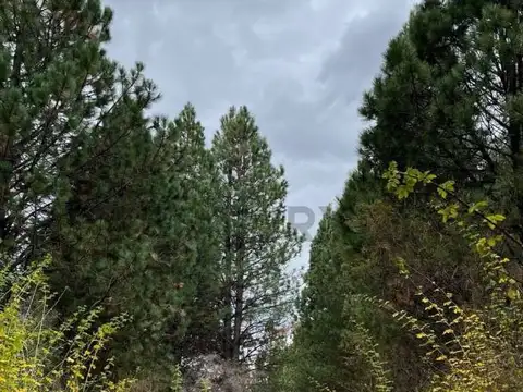 Terreno en Venta en Las Marias Del Valle, USD 320.000