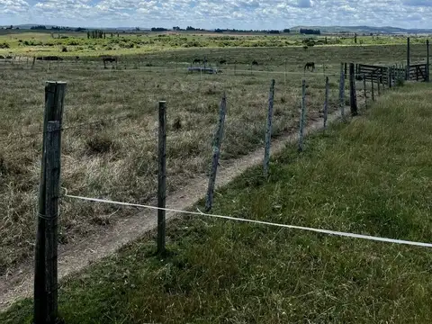 Campo 71 ha con costa de arroyo – Maldonado