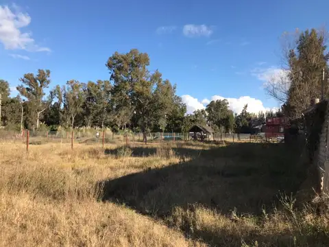LA PISTA
