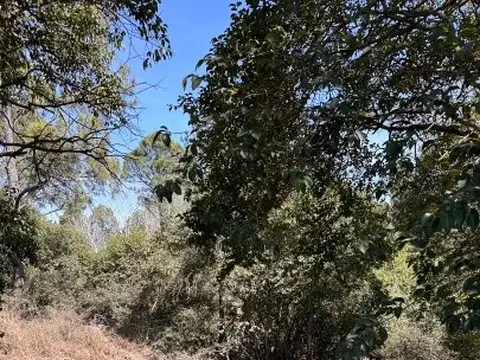 Lotes de 800 m² con escritura a metros del lago en Potrero de Garay: 2 contiguos