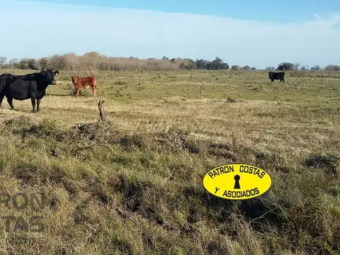 Ruta Provincial 24