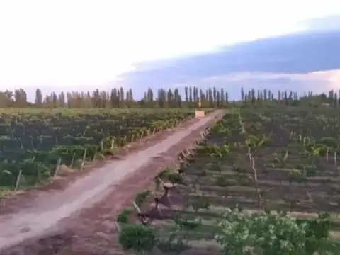 San Rafael Mendoza
