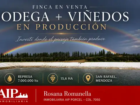 Finca - San Rafael