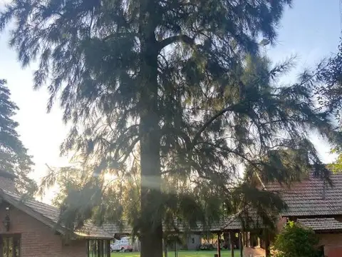 QUINTA EN MERCEDES