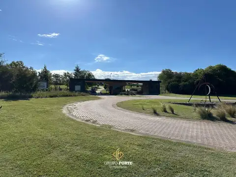 Lote, Alto Del Corral, Los reartes