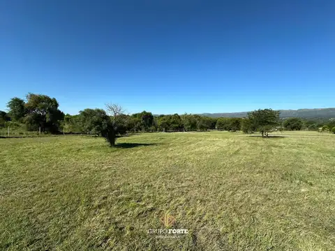 Lote, Alto Del Corral, Los reartes