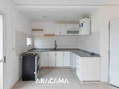 Casuarinas Premium 100