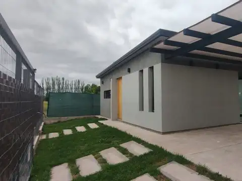 Pincolini 100
