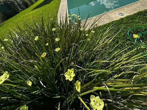 Casa en Las Clavelinas 3271