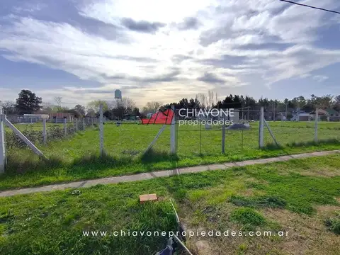 Los Naranjos 100