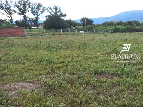Cerrillos, Salta, 100