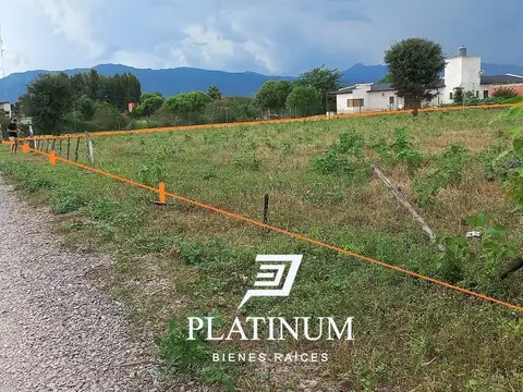 Cerrillos, Salta, 100