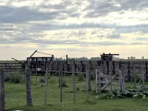CAMPO EN VENTA EN CARLOS TEJEDOR