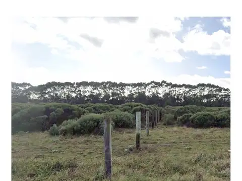 Terreno en Venta de 472,0 m2