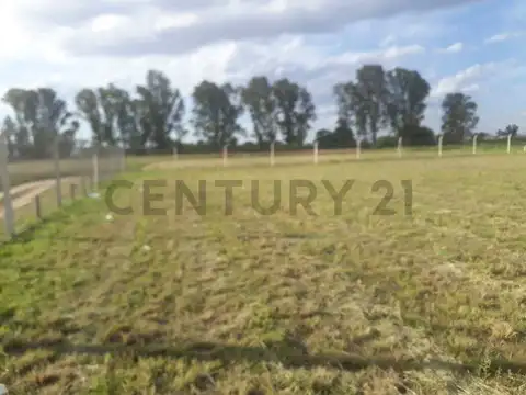 suburbio se , Piso 0