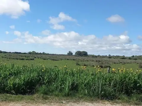 Terreno en Venta de 1400,0 m2