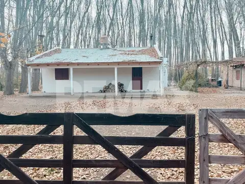 CASA EN ALQUILER PLOTTIER ZONA CHACRA  FINCA AMBOR