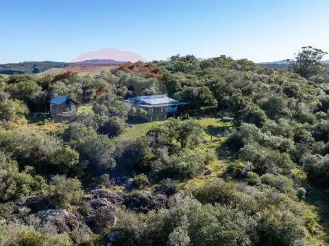 Venta de Chacra de 17 has con dos Casas - Ruta 60