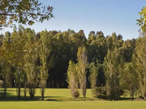 Terreno en Venta en Rumenco Joven, USD 79.900