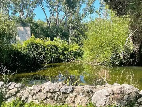 ruta 38 100