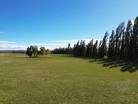 Ruta 26