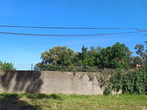 Terreno en Venta de 350,0 m2