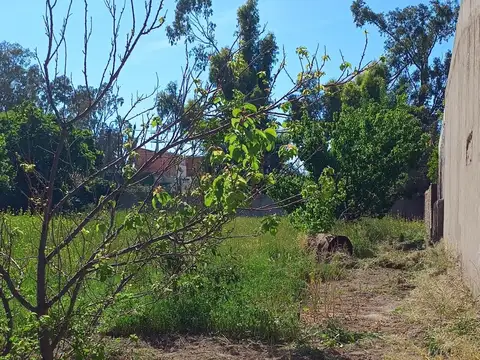 LOTE EN VENTA EN GRÜNBEIN 350M2