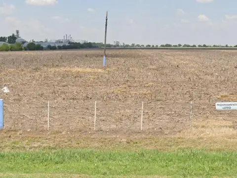 Campo en venta - 15 Hectáreas - Armstrong
