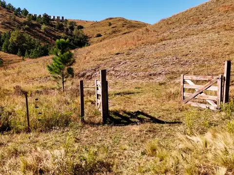 Magnifica fracción de 3 HA. Con Costa de Arroyo y bajada al Río. San Miguel de los Rios. Calamuchita