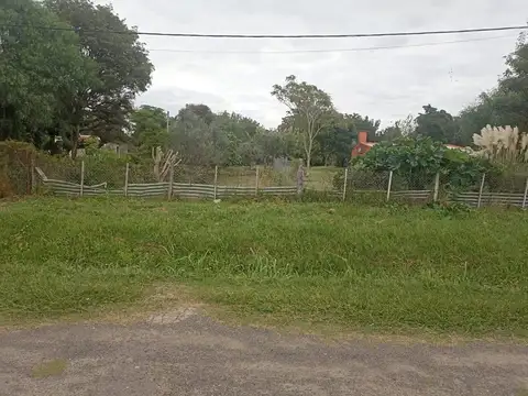 Ruta 11