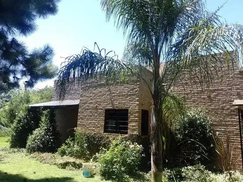 Chañas 5000