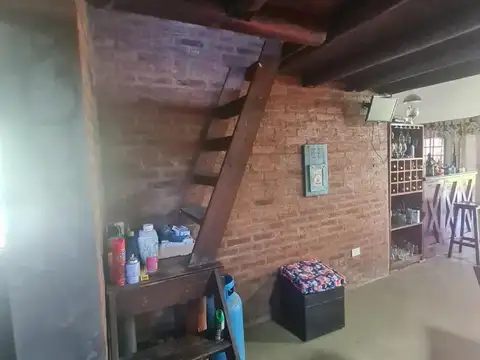 Chañas 5000